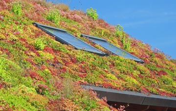 Spring Gardens living roof systems